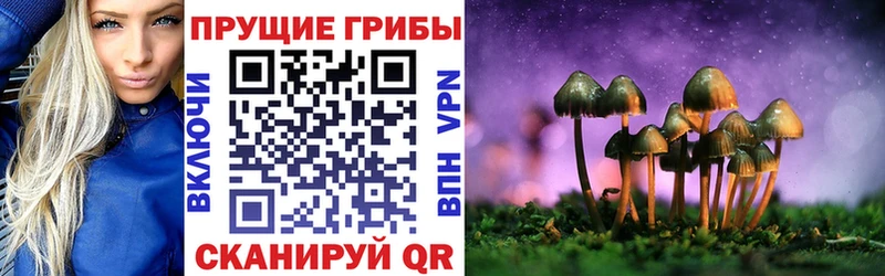 Псилоцибиновые грибы GOLDEN TEACHER  Череповец 